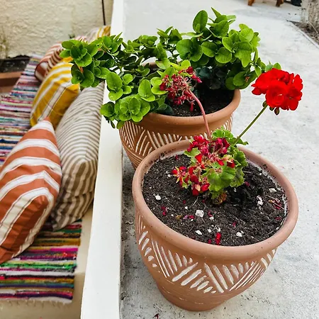Casa Filita 'old Town Traditional House' Kos By